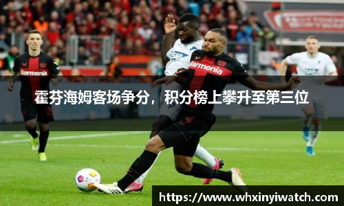 霍芬海姆客场争分，积分榜上攀升至第三位