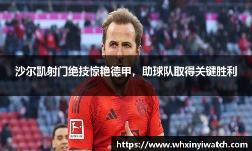星欧娱乐