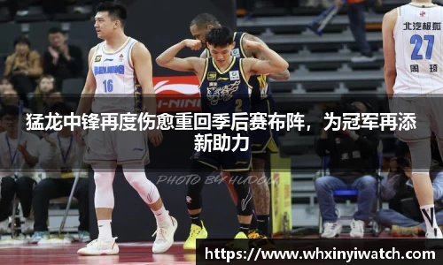 猛龙中锋再度伤愈重回季后赛布阵，为冠军再添新助力