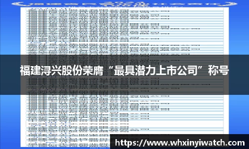 福建浔兴股份荣膺“最具潜力上市公司”称号