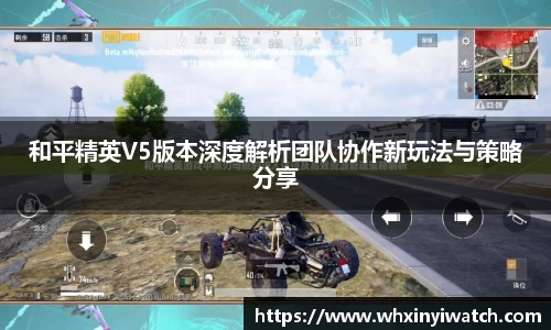 和平精英V5版本深度解析团队协作新玩法与策略分享