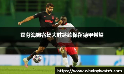 霍芬海姆客场大胜继续保留德甲希望